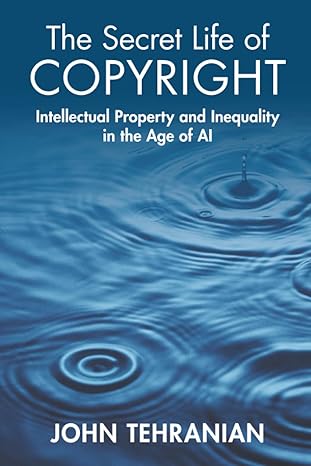 The Secret Life of Copyright: Intellectual Property and Inequality in the Age of AI Paperback